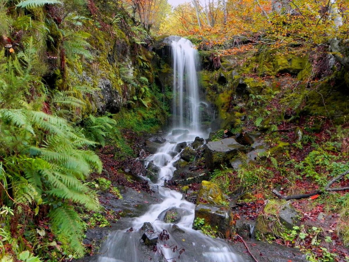 Гостевой дом Turismo Rural El Sidron Пилонья Экстерьер фото